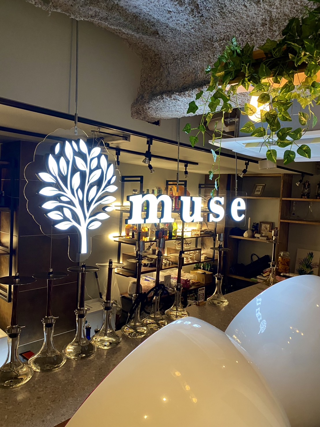 muse渋谷道玄坂店イメージ1