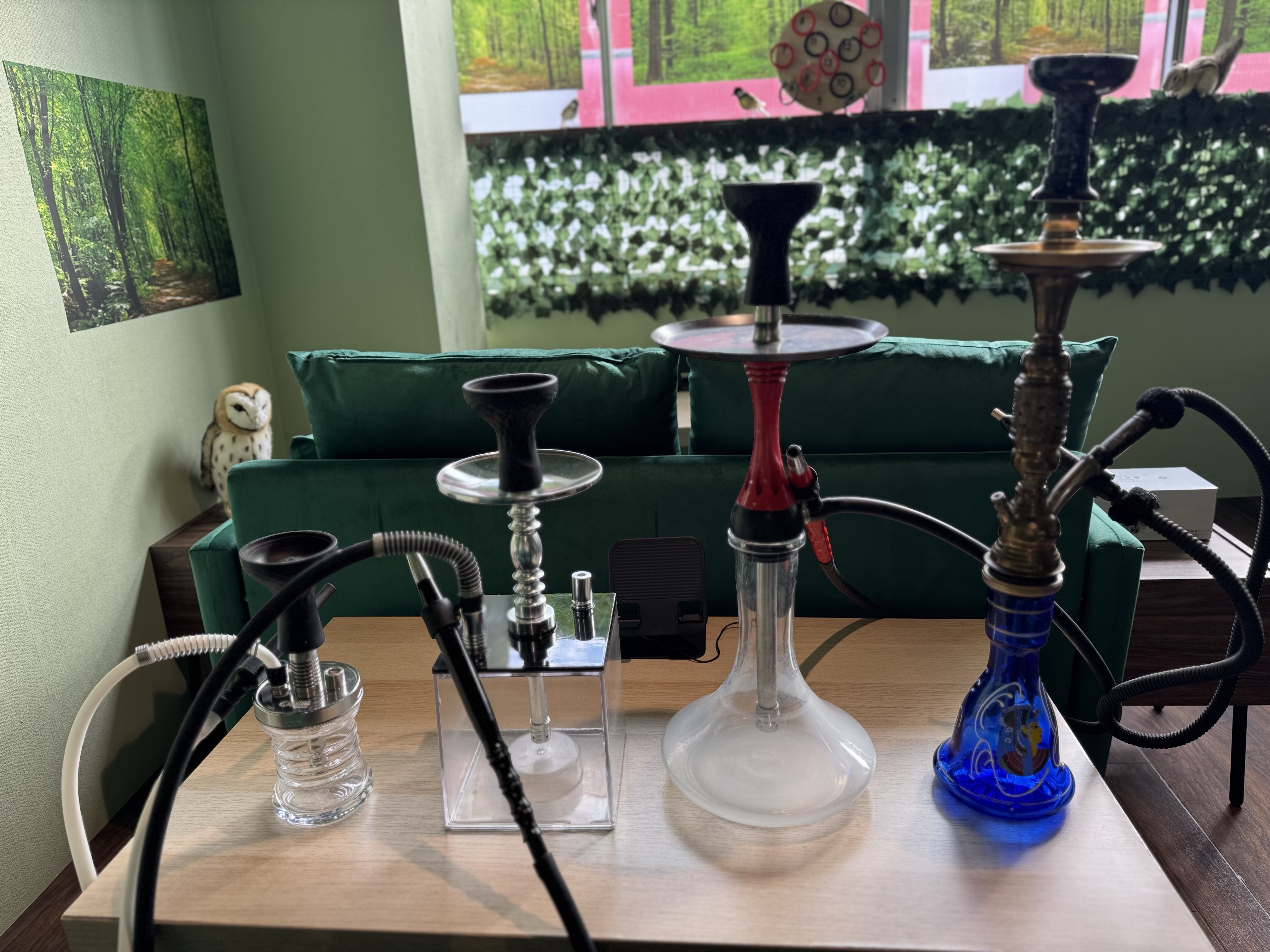 森のシーシャイメージ1